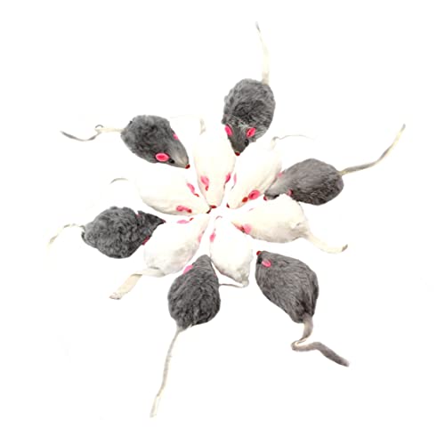 VANZACK 12St Spielzeug Katzenbedarf Spielzeug für kleine Hunde interaktives Spielzeug pummeluff Kuscheltier Welpe ausgestopftes Tier Simulation Mäuse Katzenspielzeug Plüsch Katze VANZACK 12St Spielzeug Katzenbedarf Spielzeug für kleine Hunde interaktives Spielzeug pummeluff Kuscheltier Welpe ausgestopftes Tier Simulation Mäuse Katzenspielzeug Plüsch Katze von VANZACK