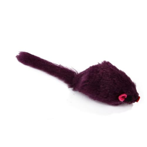 VANZACK 12 Stücke Katzenspielzeug Bündel Quietschende Plüschmaus Spielzeug Realistischer Heimtierbedarf Zufällige Farbe VANZACK 12 Stücke Katzenspielzeug Bündel Quietschende Plüschmaus Spielzeug Realistischer Heimtierbedarf Zufällige Farbe von VANZACK