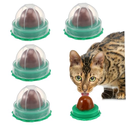 VANZACK 15 STK Katze süßigkeiten lecken lecken spaß Katzenminze katzenurne Catnip Vereinigtes Königreich Kätzchenspielzeug Lutscher Katze Zuckerkugel Katze leckt Ball Haustier Snack Orange von VANZACK