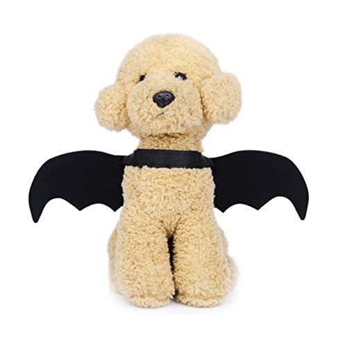 VANZACK 1Stk Haustierbedarf Hundekleidung für Halloween Hundekleidung für besondere Anlässe Halloween Hundekleidung Dinosaurierkostüm Hundepflege Kette Welpe Halloween-Haustierkostüm Black VANZACK 1Stk Haustierbedarf Hundekleidung für Halloween Hundekleidung für besondere Anlässe Halloween Hundekleidung Dinosaurierkostüm Hundepflege Kette Welpe Halloween-Haustierkostüm Black von VANZACK