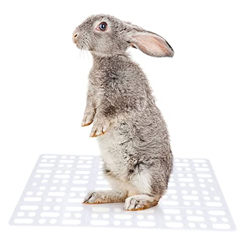 VANZACK 2 Pcs Rabbite Fußmatte Fußstütze Haustier Fußmatte Haustier Matte Weiß von VANZACK