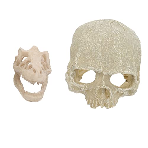 VANZACK 2 Stück Aquarium Dekoration Knochen Aquarienschmuck Aquarium Aquarium Aquarium-höhlen- Dekorationen Für Aquarien Aquariendekoration Zubehör Für Aquarien Kunstharz von VANZACK