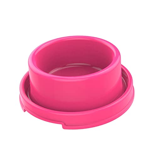VANZACK 2 Stück Futterautomat für Haustiere pet Supplies Haustierfutterautomat Automatischer Wassernapf für Hunde Schüssel kleine Futternäpfe für Haustiere Ameise Futternapf für Haustiere VANZACK 2 Stück Futterautomat für Haustiere pet Supplies Haustierfutterautomat Automatischer Wassernapf für Hunde Schüssel kleine Futternäpfe für Haustiere Ameise Futternapf für Haustiere von VANZACK