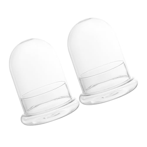VANZACK 2 Stück Glasflasche für Landschafts Dekoration für Terrarien Pflanzen und Wohnraumgestaltung VANZACK 2 Stück Glasflasche für Landschafts Dekoration für Terrarien Pflanzen und Wohnraumgestaltung von VANZACK