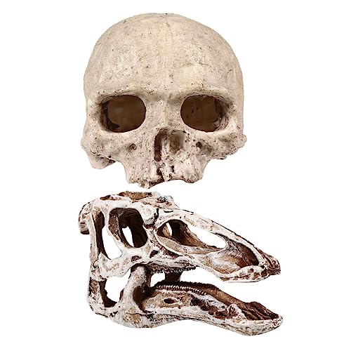 VANZACK 2 Stück Harz-Aquarium-Ornament Aquariumdekorationslandschaft Aquarium -versteck Aquarium-Skelett-höhle Aquarium Skelett Schädel Ornament Reptilienterrarien Schädelornamente Beige von VANZACK