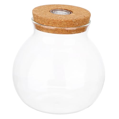 VANZACK 2 Stück Led-Glas-Flasche mit Klarem Sichtfenster und Led-licht Dekorative Umweltfreundliche Flasche für DIY Pflanzen-Terrarium Landschaft als Kreatives Aquarium-Glas für Innenräume von VANZACK