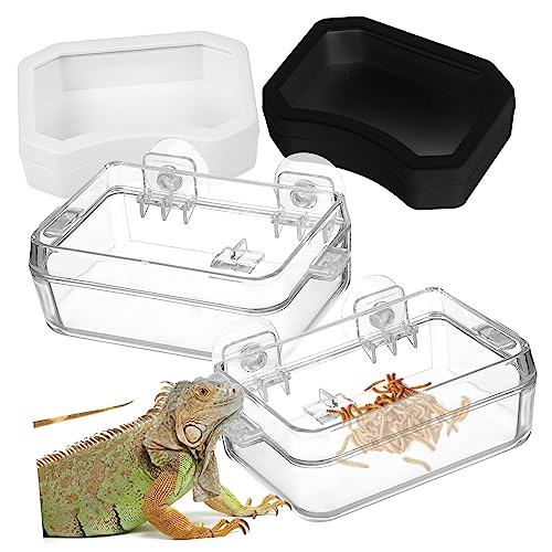 VANZACK 2 Stück Reptilienfutterautomat Suction Cup saugnäpfe Reptilien zubehör Reptilienpflege Gecko zubehör Sucker Schale für Reptilien Futterspender für Reptilien Chamäleonschale Plastik VANZACK 2 Stück Reptilienfutterautomat Suction Cup saugnäpfe Reptilien zubehör Reptilienpflege Gecko zubehör Sucker Schale für Reptilien Futterspender für Reptilien Chamäleonschale Plastik von VANZACK