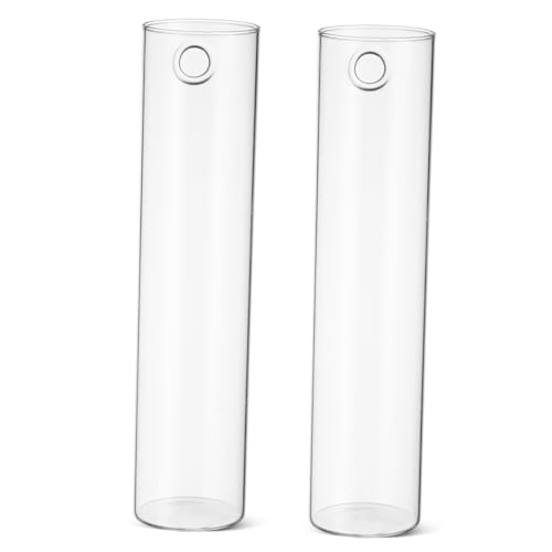 VANZACK Hängende Wandvase 2er-Set Wandhalterungen Aus Glas Minimalistischer Stil Für Das Home Office von VANZACK