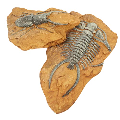 VANZACK 2Er-Box simuliertes Harzfossil Reptil Terrarium Dekorationen Terrarium Decor Snake Climbing Decor Dekore für Terrarien mit Schlangen Eidechsen-Terrarium-Dekore von VANZACK