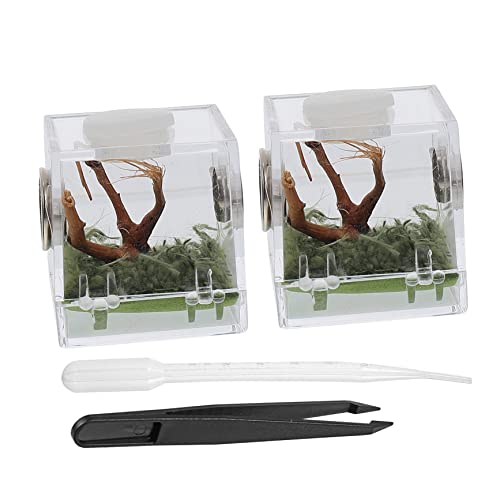 VANZACK 2Er Set Springspinnen Zuchtbox Wasserschale Für Kleintiere Reptilien Froschtank Zubehör Lebensraum Für Springspinnen Gehege Für Dinosaurier Springspinnen Transportbox Für von VANZACK