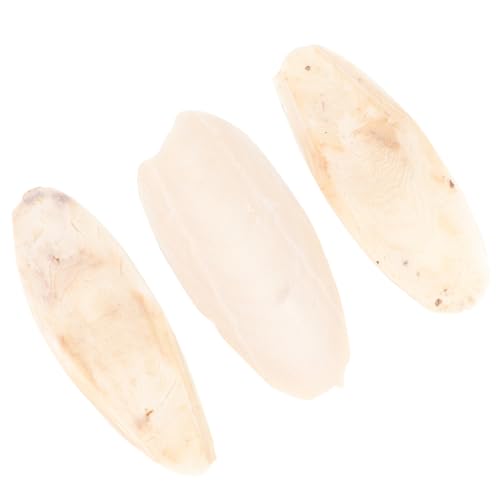 VANZACK 3stücke Papageien Spielzeug Aus Cuttermuschel Kaustäuschling Für Kleintiere Zum Zähnemaßnehmen Und Spielen Im Käfig Sicher Und Perfektes Zubehör Für Vögel Und Nager VANZACK 3stücke Papageien Spielzeug Aus Cuttermuschel Kaustäuschling Für Kleintiere Zum Zähnemaßnehmen Und Spielen Im Käfig Sicher Und Perfektes Zubehör Für Vögel Und Nager von VANZACK