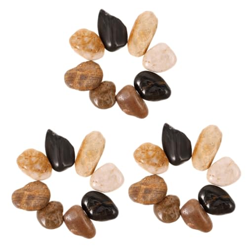VANZACK 3 Sets Gartensteine Dekorative Felsen Für Aquarien Ornamente Kieselsteine für Blumentöpfe Und S VANZACK 3 Sets Gartensteine Dekorative Felsen Für Aquarien Ornamente Kieselsteine für Blumentöpfe Und S von VANZACK