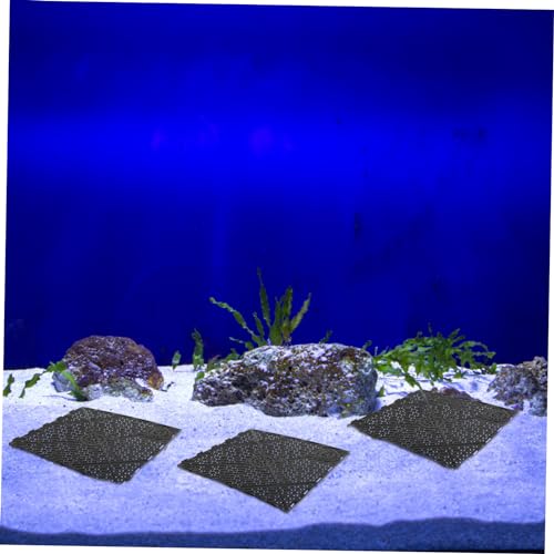 VANZACK 40 Stck. Teiliges PVC Aquarium Bodenfilterplatten Flexible Steck Filterplatten mit Guter Wasserpermeabilität Robust und Leicht Untergetaucht Geeignet für Große Drachenfische und VANZACK 40 Stck. Teiliges PVC Aquarium Bodenfilterplatten Flexible Steck Filterplatten mit Guter Wasserpermeabilität Robust und Leicht Untergetaucht Geeignet für Große Drachenfische und von VANZACK