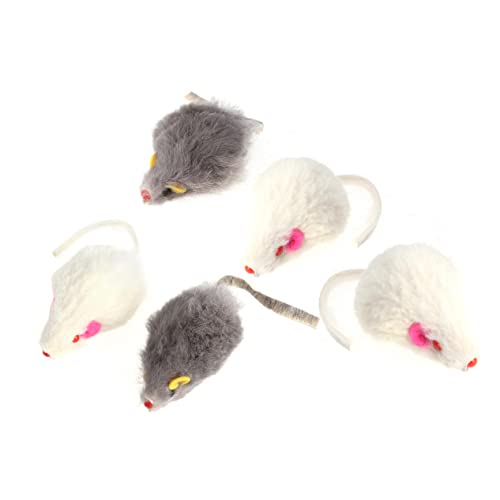 VANZACK 5 Stück Katzen- - Kitten Funny Toys cat Toys Fun Toy Katzenkugeln für Innenkatzen Ausgabe von Leckerlispielzeug für Katzen Mäuse Katze Teaser von VANZACK