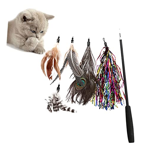 VANZACK Interaktives Katzenspielzeug Satz mit 6 Katzenangeln Teaser 3 Abschnitte für Gesunde Bewegung und Spielspaß VANZACK Interaktives Katzenspielzeug Satz mit 6 Katzenangeln Teaser 3 Abschnitte für Gesunde Bewegung und Spielspaß von VANZACK