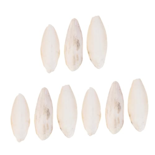 VANZACK 9stücke Cuttlebone Spielzeug Für Vögel Kaumaterial Für Wellensittiche Und Andere Haustiere Für Zahnpflege Und Spielbeschäftigung Im Käfig Beige von VANZACK