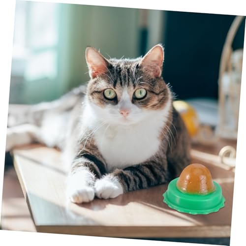 VANZACK 9 Stck. Teiliges Katzenminze Lutsch-lutscher mit Vitamin Pudding Natürliche Katzensnacks Verdauung Lecken und Spielerisch für Katzen und Kätzchen Zufälliger Geschmack von VANZACK