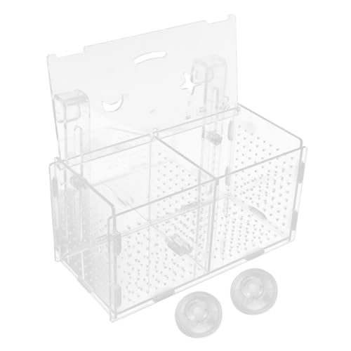 VANZACK 1satz Aquarium Zuchtbox Mit Saugnäpfen Trennwand Für Fischzucht Isoliert Kranke Oder Aggressive Fische Transparent Optimal Für Garnelen Und Jungfische von VANZACK