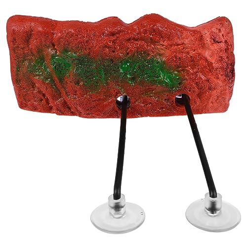 VANZACK Aquarienverzierung Aquarium Dekoration Schildkrötenplattform Schwebend Reptilien-Schildkröten-Spielterrasse klein schleichtiere schwimmende Plattform Haustier terrasse von VANZACK