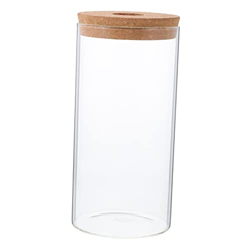 VANZACK Glas Terrarium Flasche Hochborosilikatglas Mikrolandschaft Flasche Für Moos Pflanzen Zur Dekoration Ihres Zuhauses von VANZACK