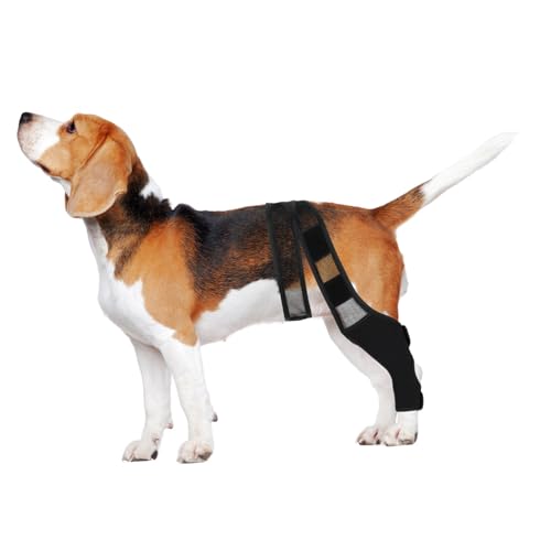VANZACK Beinzubehör Hundepfote Für Große Hunde Welpenhalsband Dackel Hunderollstuhl Für Hinterbeine Züchten Service Hund Für Welpen Haustier Hundebeinschienen Für Vorderbein Mesh-gewebe VANZACK Beinzubehör Hundepfote Für Große Hunde Welpenhalsband Dackel Hunderollstuhl Für Hinterbeine Züchten Service Hund Für Welpen Haustier Hundebeinschienen Für Vorderbein Mesh-gewebe von VANZACK