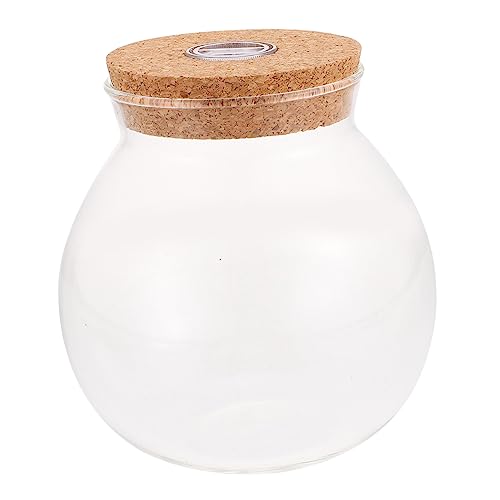 VANZACK Micro Landschaft Flasche Selbstgemacht Terrarium Halter mit Deckel Transparente Pflanzenbehälter für Kreative Dekoration von VANZACK