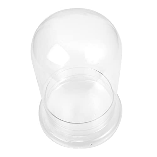 VANZACK DIY Mikrolandschafts Ökologie Glasflasche für Moos mit Öffnung für Pflanzen Deko und Raumgestaltung Transparentes Design für Gestaltung von VANZACK