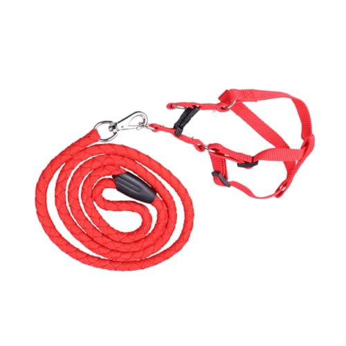 VANZACK Einstellbares Hundetraktionsgeschirr Rot XXL Nylontuch Für Outdoor Aktivitäten Komfortabel Und Haustierbedarf Für Sichere VANZACK Einstellbares Hundetraktionsgeschirr Rot XXL Nylontuch Für Outdoor Aktivitäten Komfortabel Und Haustierbedarf Für Sichere von VANZACK
