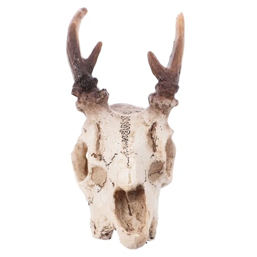 VANZACK Elchschädel-Ornamente Schlangendekor Für Terrarium Wüstendekor Aquariumhöhle Dekorationsornamente Für Aquarien Wandklettergecko Aquarium-schädel Bartagamenfigur Aquariumdekor Harz von VANZACK
