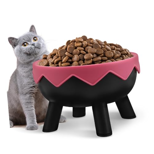 VANZACK Erhöhter für Katzen und Kleine Rutschfester Geneigter mit Stabiler Basis für Kätzchen und Welpen Hält Futter Frisch von VANZACK