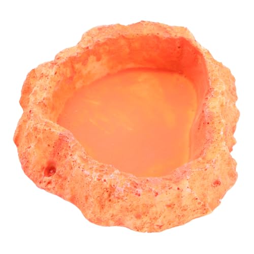 VANZACK Futternapf für Haustiere Reptilienfutterschale Tellerbehälter für Schildkrötenfutter Spinne Reptile Feeder Bowl Lizard Feeder Dish schleichtiere -rutschfeste Reptilienschale Orange VANZACK Futternapf für Haustiere Reptilienfutterschale Tellerbehälter für Schildkrötenfutter Spinne Reptile Feeder Bowl Lizard Feeder Dish schleichtiere -rutschfeste Reptilienschale Orange von VANZACK