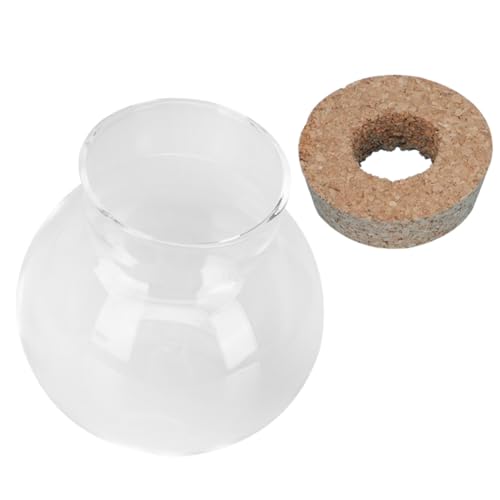 VANZACK Glasfischglas Terrarium Pflanztopf Transparent Multifunktional Kleiner Goldfischbehälter Hydroponik Pflanzgefäß Wohnaccessoire Tischdeko VANZACK Glasfischglas Terrarium Pflanztopf Transparent Multifunktional Kleiner Goldfischbehälter Hydroponik Pflanzgefäß Wohnaccessoire Tischdeko von VANZACK