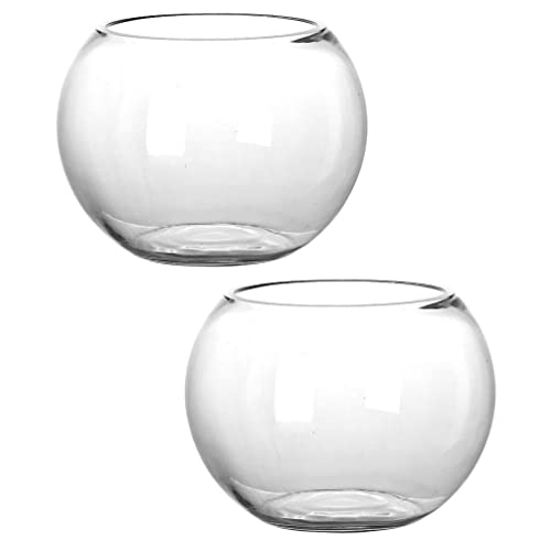 VANZACK Glaspflanzen-Terrarium- : 2 Stück Sukkulenten-Luftpflanzgefäß Mini-Fischglas Farn Moos Mikro-Landschaftsvase Hydrokulturbehälter Anzuchtstationen Für Tisch B von VANZACK