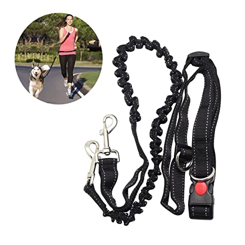 VANZACK Hundeleine Mit Verstellbarem Bauchgurt Elastisch Und Reflektierend Für Jogging Wandern Und Geeignet Für Hunde von VANZACK