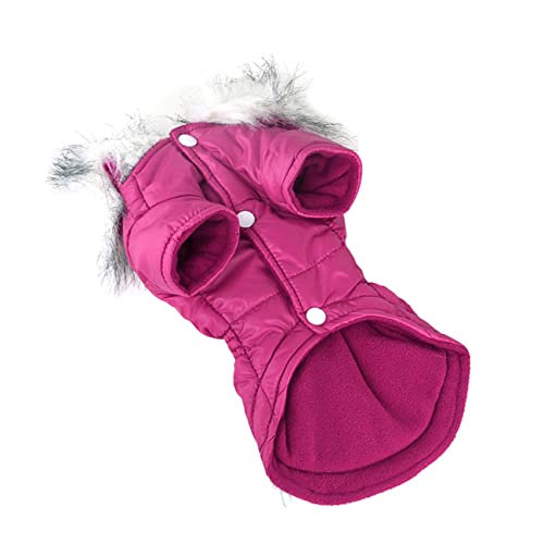 VANZACK Hundemantel Für Kaltes Wetter Kühlende Hundebetten Für Große Hunde Kleidung Für Haustiere Hunderegenmantel Für Kleine Hunde Dackel Chihuahua Haustierspielzeug Wintermäntel VANZACK Hundemantel Für Kaltes Wetter Kühlende Hundebetten Für Große Hunde Kleidung Für Haustiere Hunderegenmantel Für Kleine Hunde Dackel Chihuahua Haustierspielzeug Wintermäntel von VANZACK