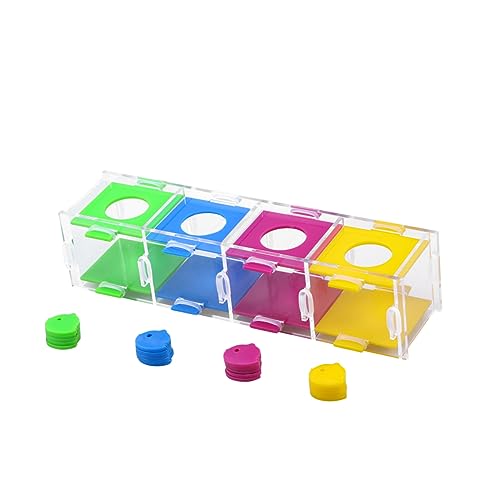 VANZACK Papagei Schreibtisch Spielzeug Kauen Intelligenz Training Box Sicheres Material Für Vogel Spielzeit Spaß von VANZACK