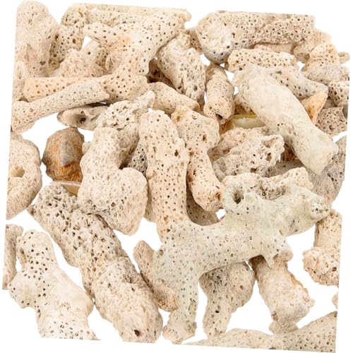 VANZACK Korallenknochensand Filtermaterial Aquarium Natürlich Wiederverwendbar Teichfilter zur Wasserreinigung Verbessert Wasserqualität Stabilisiert Ph für Süßwasser Aquarien und Teiche von VANZACK