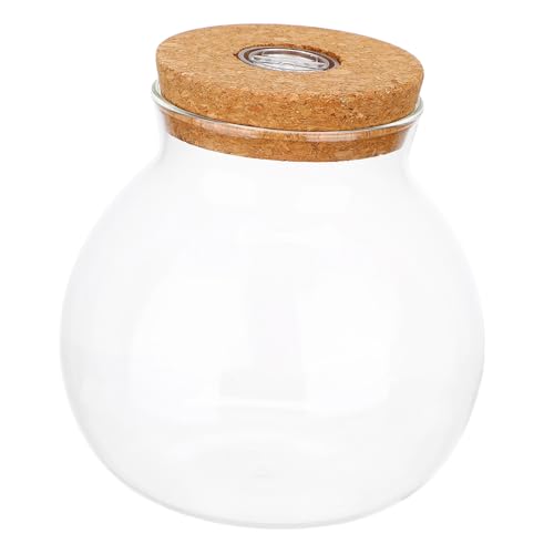 VANZACK LED Ökologische Flasche mit LED Licht DIY Mikro Landschaftsflasche für Fische Pflanzen und Kreative Dekoration Multifunktionale Hydroponikvase Transparentes Design VANZACK LED Ökologische Flasche mit LED Licht DIY Mikro Landschaftsflasche für Fische Pflanzen und Kreative Dekoration Multifunktionale Hydroponikvase Transparentes Design von VANZACK