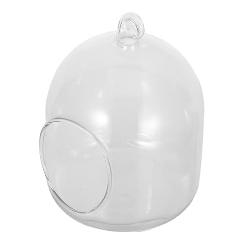 VANZACK Mini Glass Terrarium mit Moos Kleines Offenes Bubble Planter Stilvolles DIY Pflanzgefäß für Büro Pflegeleichtes Terrarium für Tischdekoration Vielseitige Wohnkultur von VANZACK