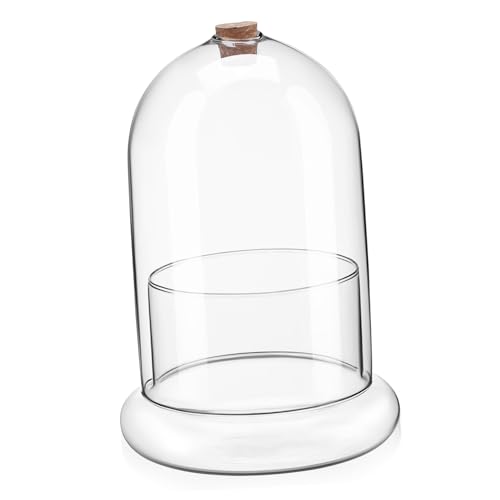 VANZACK Mooskonservierte Globen Anlage Pflanzen künstliche blüten Artificial Flower Terrarium unterschrank blumentöpfe Vase Mikrolandschaft Terrarium Tischschmuck Glas von VANZACK