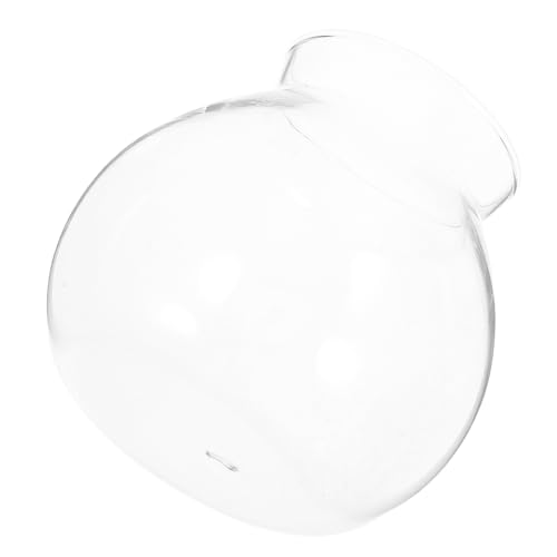 VANZACK Ökologische Mikrolandschaftsflasche Fisch Aquarium Mini Tischplatte Anlage Tank Pflanzen Lüfter Vase Luft drinnen groß Glas mit hohem Borosilikatgehalt Transparent VANZACK Ökologische Mikrolandschaftsflasche Fisch Aquarium Mini Tischplatte Anlage Tank Pflanzen Lüfter Vase Luft drinnen groß Glas mit hohem Borosilikatgehalt Transparent von VANZACK