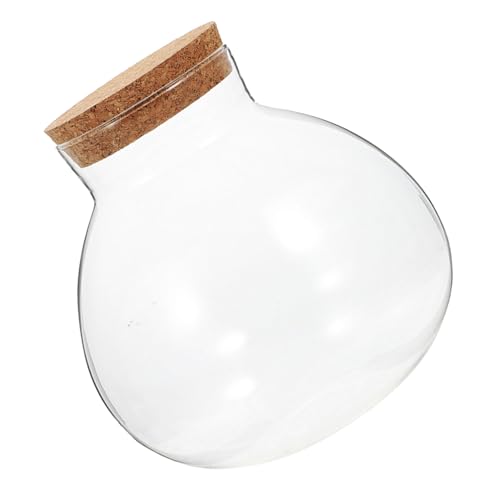 VANZACK Ökologische Mikrolandschaftsflasche Terrarium-displayglas Moosglas Hochzeitsbevorzugungsglas Nachrichtenglas Knospenvase Flasche Mit Mikrolandschaft Saftiges Glas Kork Transparent von VANZACK