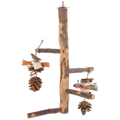 VANZACK Papagei Stehen Vogel Papagei Barsch Vogel Steht Für Papageien Natürliche Holz Barsch Spielzeug von VANZACK