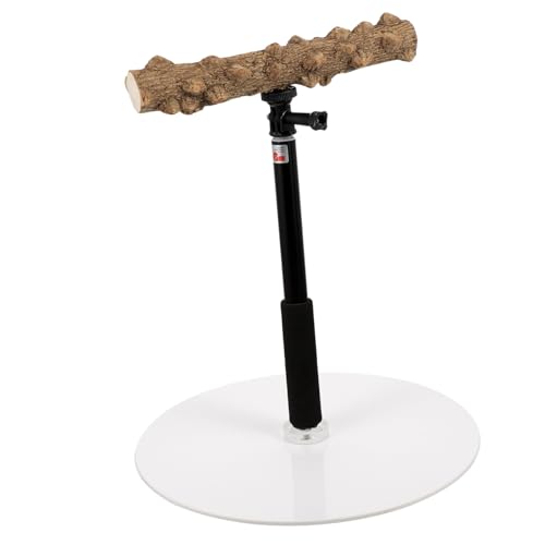 VANZACK Vogel Sitzstange Ständer Sitzend Holz Papagei Baum Zweig Ständer Vogel Training Sitzstange Vogel Spielständer VANZACK Vogel Sitzstange Ständer Sitzend Holz Papagei Baum Zweig Ständer Vogel Training Sitzstange Vogel Spielständer von VANZACK