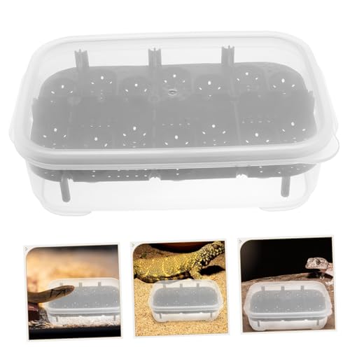 VANZACK Reptilien Brutbox mit Löchern Langlebige Kunststoff Inkubationsbox für Reptileneier Wiederverwendbar Leicht zu Reinigen und Handlich für Terrarien und Zuchtzwecke VANZACK Reptilien Brutbox mit Löchern Langlebige Kunststoff Inkubationsbox für Reptileneier Wiederverwendbar Leicht zu Reinigen und Handlich für Terrarien und Zuchtzwecke von VANZACK