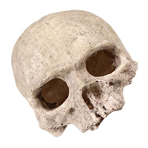 VANZACK Resin Skull Aquarium Ornament Reptilienversteck Robustes Harz Dekorationshaus für Garnelen und Kleine Fische Schützendes Unterschlupf Versteck Langlebig und Abriebfest von VANZACK
