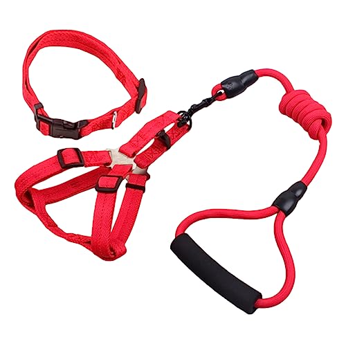 VANZACK Robustes Haustier-westenhalsband mit Leine 8 Mm X 120 cm Verstellbare Leine für bis Mittelgroße Hunde Bequem Zu Verwenden von VANZACK