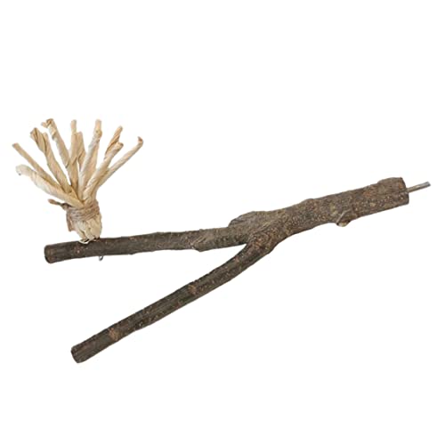 VANZACK Vogelbeißspielzeug-Set Kauspielzeug Für Papageien Und Vögel Sitzstangenständer Aus Holz Natürliche Zweige Zubehör Für Papageienspielplätze VANZACK Vogelbeißspielzeug-Set Kauspielzeug Für Papageien Und Vögel Sitzstangenständer Aus Holz Natürliche Zweige Zubehör Für Papageienspielplätze von VANZACK