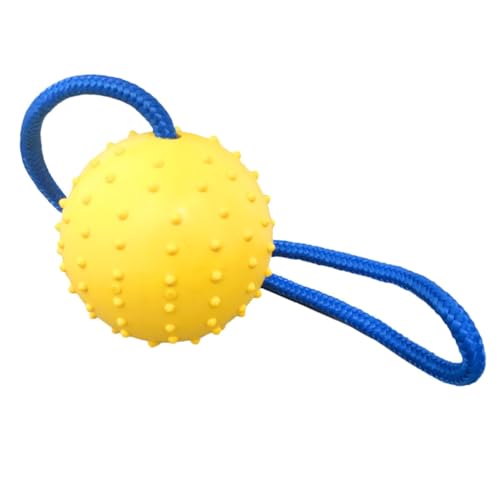 VANZACK Spielzeugball für Haustiere Hundespielzeug für draußen Bälle für kleine Hunde Werfer Interactive Dog Toys interaktives Welpenbälle aus Gummi tragbares Hundespielzeug von VANZACK