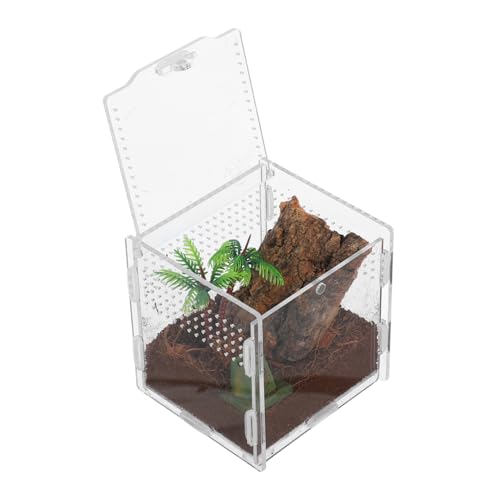 VANZACK Spinnenbox Für Haustiere Terrarium Eidechsenkäfig Reptilienkäfig Eidechsenbecken Schlangenbecken Zubehör Für Springspinnen Gehege Für Springspinnen Haustierkäfig VANZACK Spinnenbox Für Haustiere Terrarium Eidechsenkäfig Reptilienkäfig Eidechsenbecken Schlangenbecken Zubehör Für Springspinnen Gehege Für Springspinnen Haustierkäfig von VANZACK
